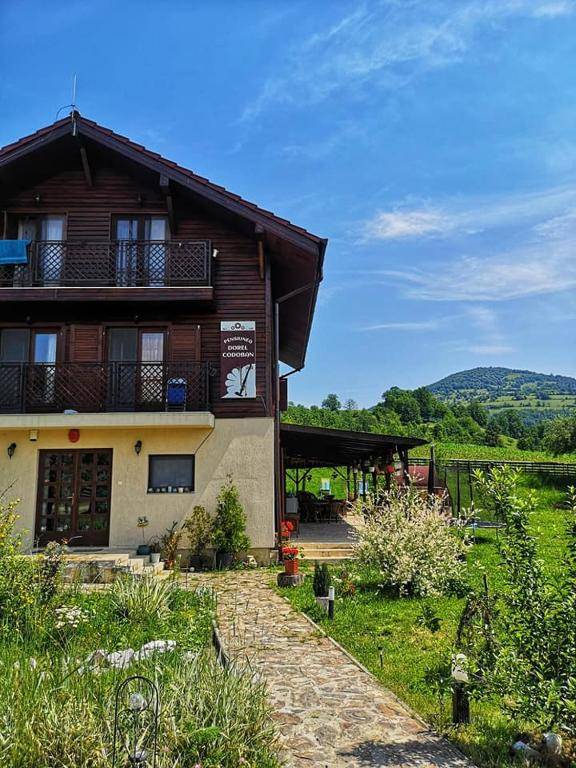 Pensiunea Dorel Codoban