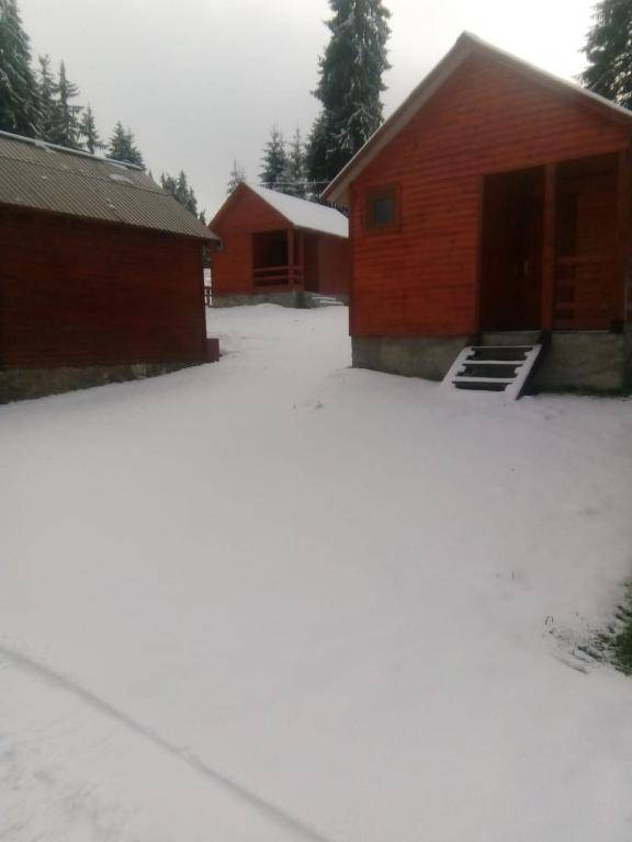 Popas Turistic Padis