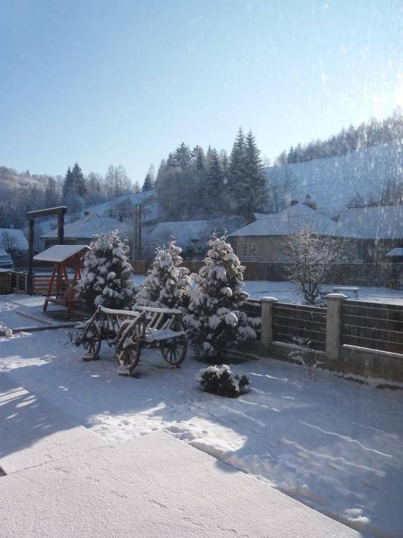 Pensiunea La Rachitele