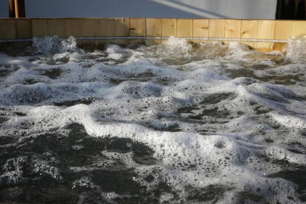 Pensiunea Maramures Guesthouse