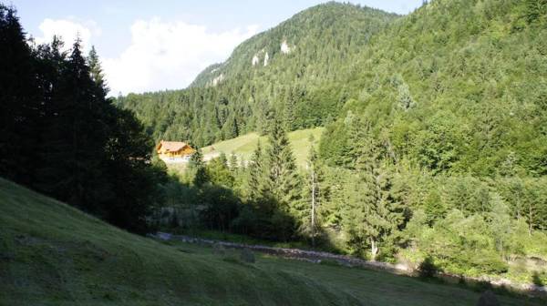 Pensiunea Izbucul Tauz