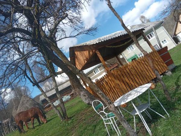Room in Guest room - Cozy Rural Retreat in Rosia Montana