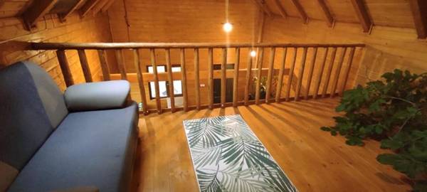 Casuta Veveritelor - Casuta in Copac