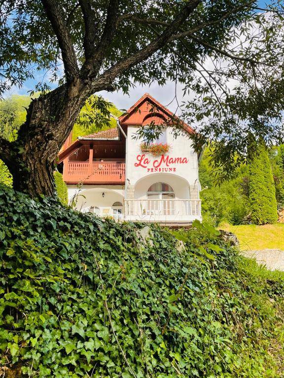 Pensiune La Mama