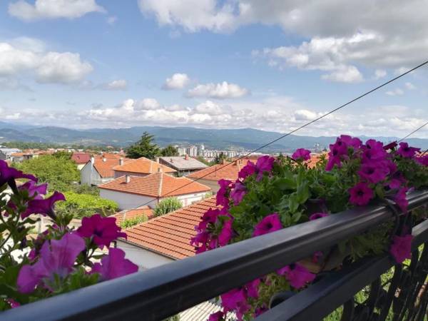 Vila Sentić