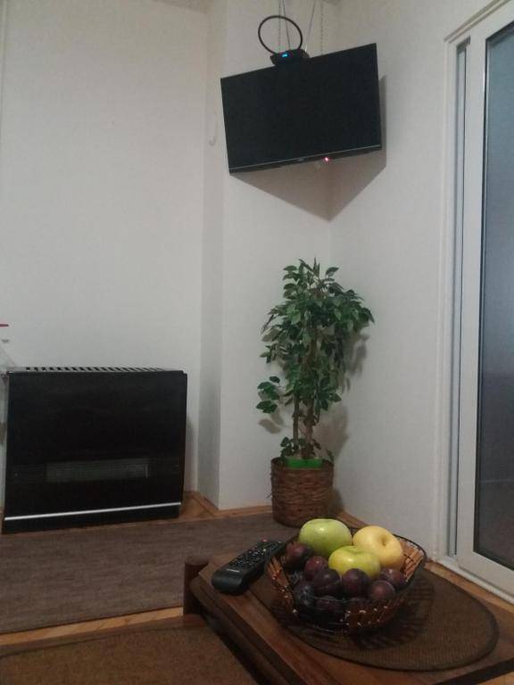 Apartman Breza