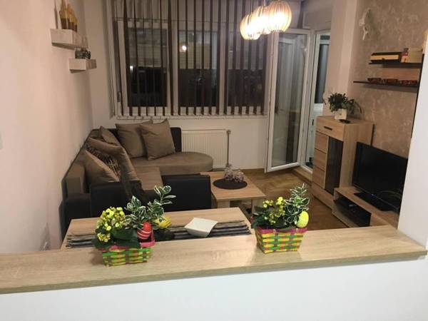 Apartment Sinisa with Garage