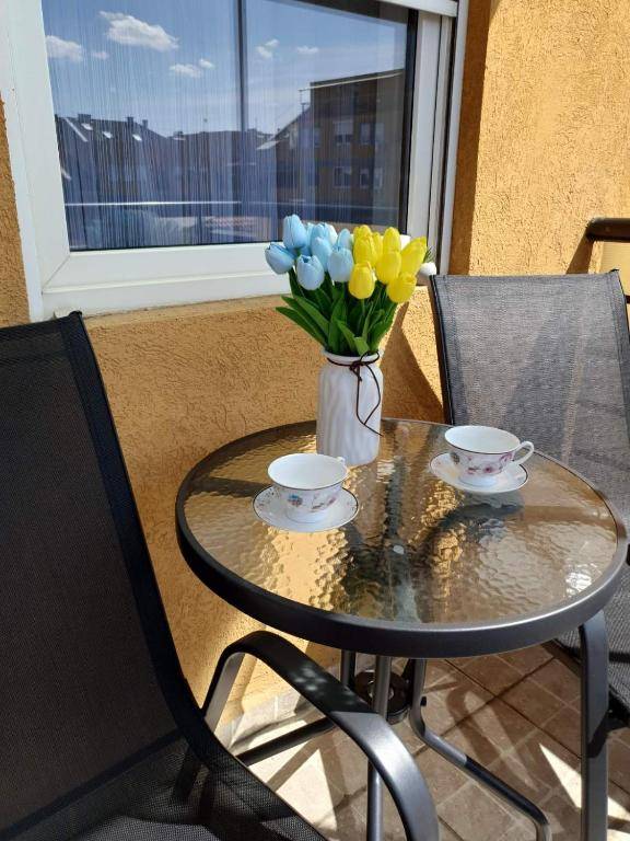 Apartman Centar