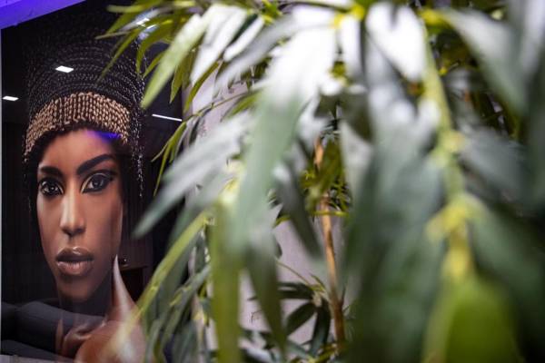 House of Mac Apartments