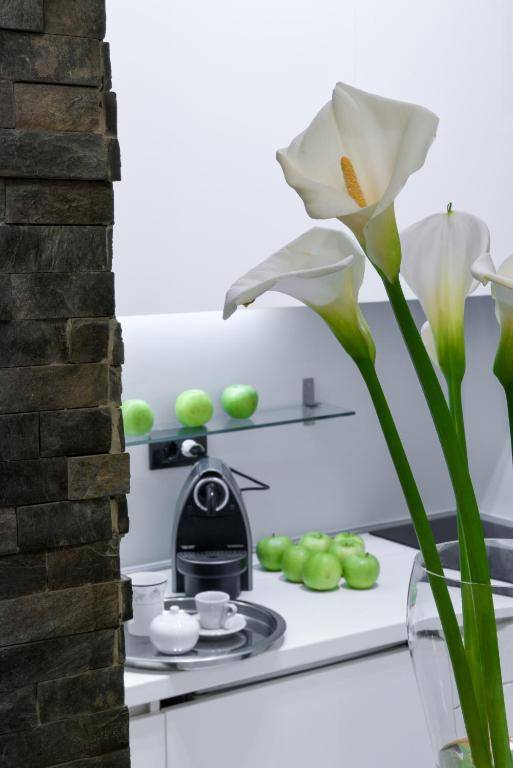 Apartment Silicon Valley