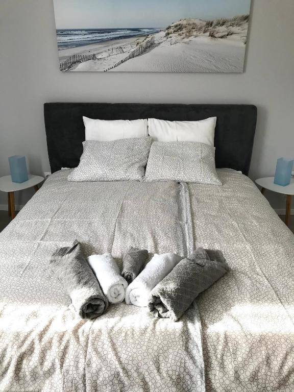 Serenity apartment Belgrade