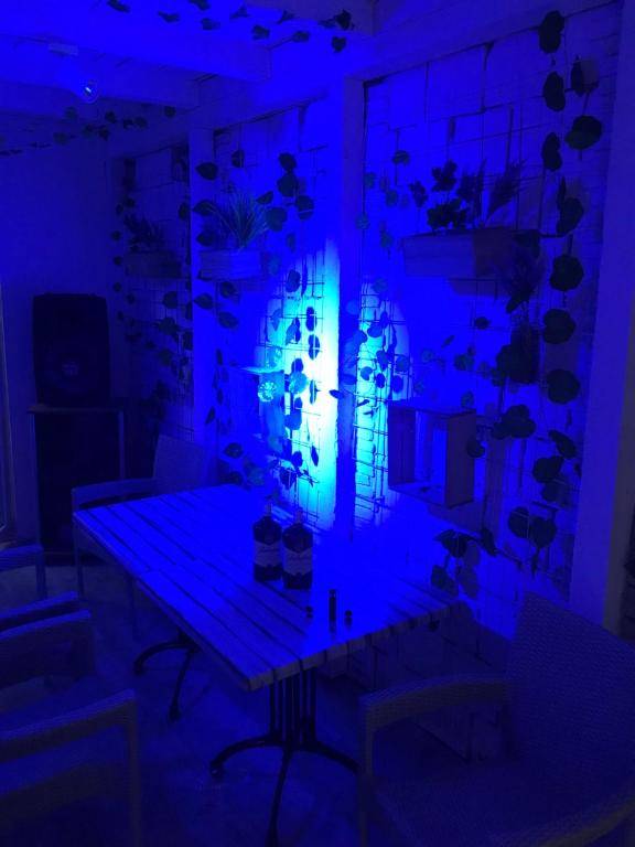 atina's chill house kucice aprtmani na reci