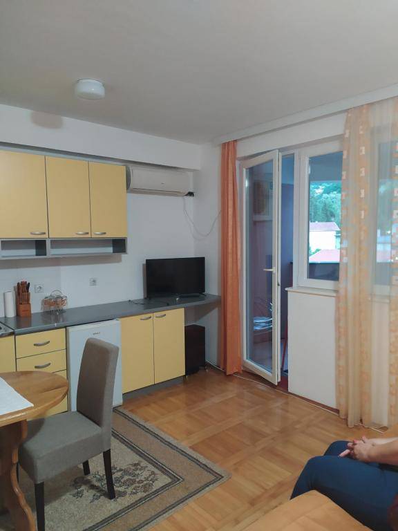 Apartman Banja Koviljaca