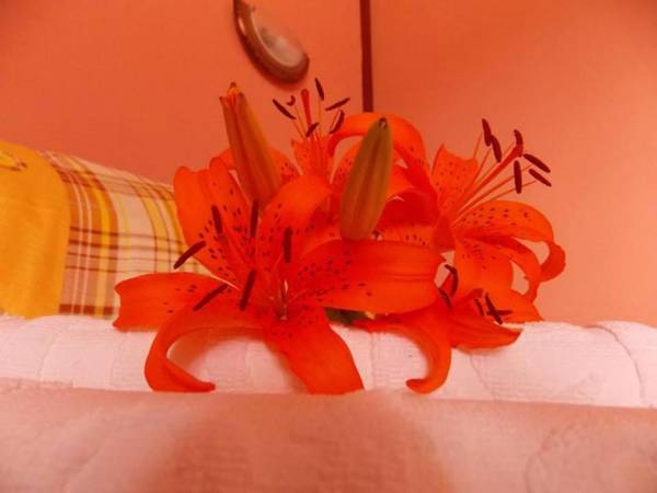 Apartments Vukomanović