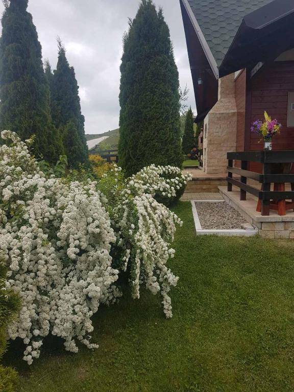 Apartments Hill House Zlatibor