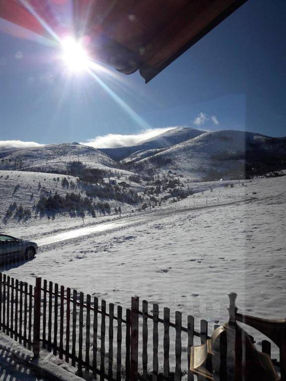 Brvnare Mir Zlatibor