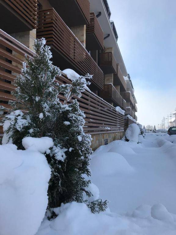 Lux Apartments Janjic