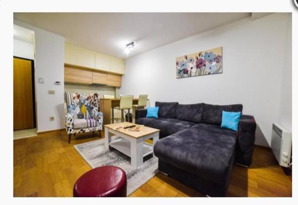 Vila Pekovic Apartman P7