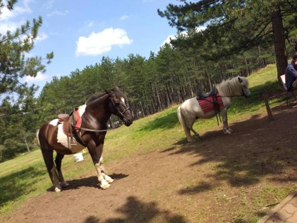 Apartment Adam-Zlatiborska Vila I