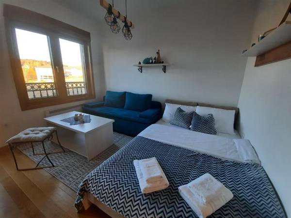 Studio apartment Paun Vila Elsa I Zlatibor