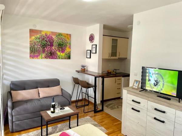 Apartments Mount Inn Studio