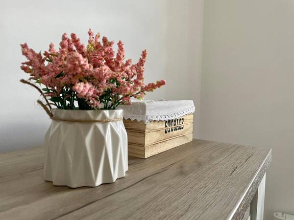 Apartments Mount Inn Studio