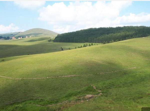 Zlatibor Hills Lux Apart MN