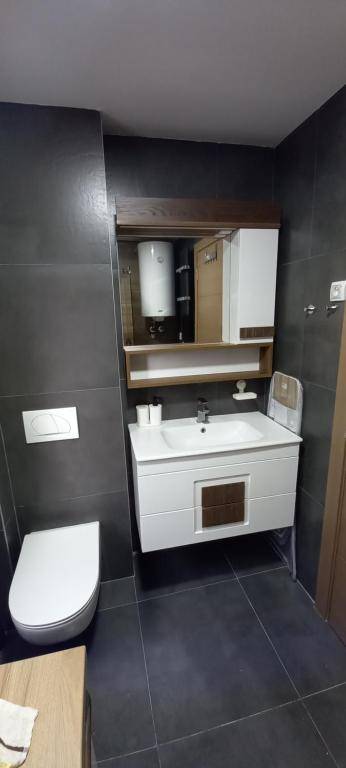 Zlatibor apartmani centar