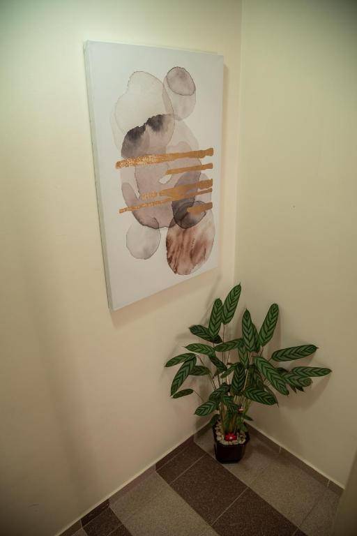 Apartmani Lotus Vrdnik