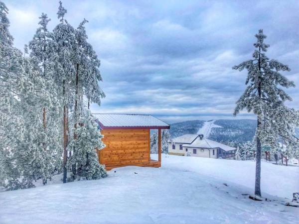 Apartmani Smigic Divcibare