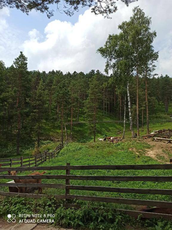 Kuća za odmor-Aleksandra