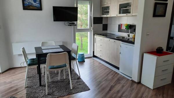 Studio Tara Divčibare