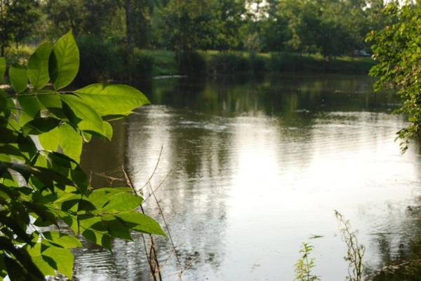 Hagyományt örző egyesület