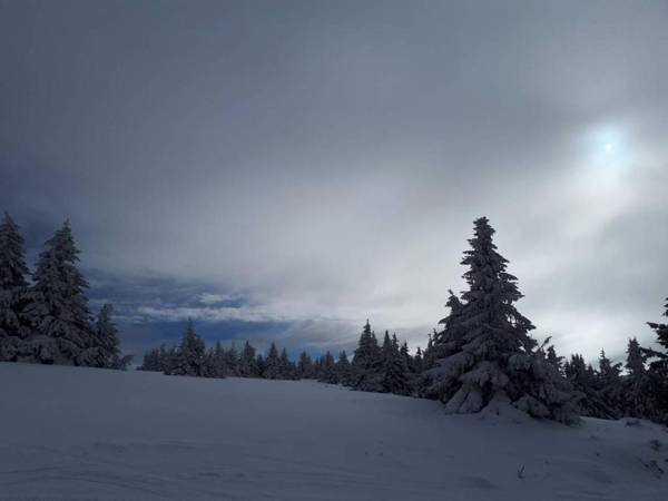 Katia М14 Milmari Resort