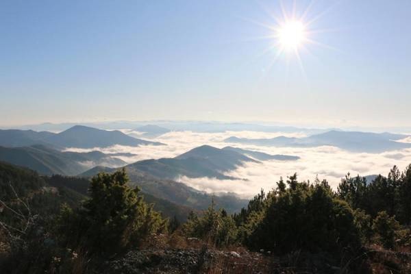 Apartment Mali Princ S18 Milmari resort