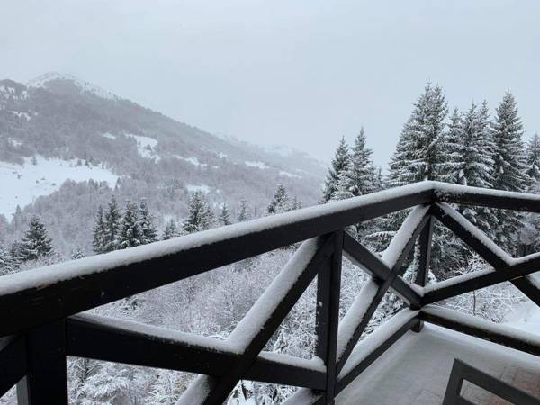 Apartment A13 Kopaonik