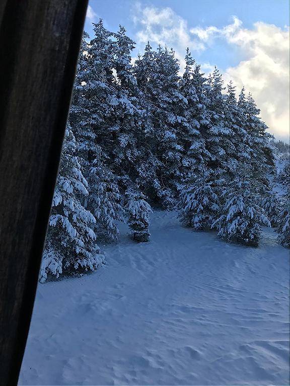 Apartment A6 Kopaonik