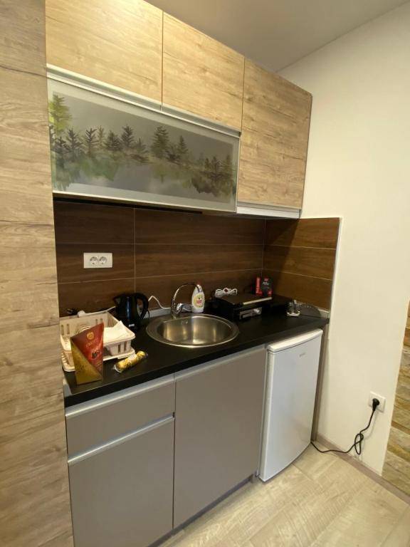 Kopaonik Apartmani Milmari - Katic