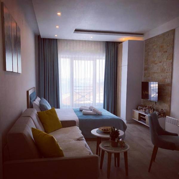 P20 Milmari DeLuxe Studio Kopaonik