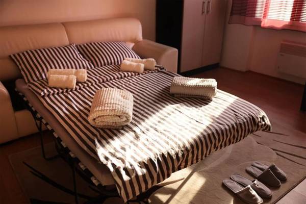 Viki Apartment CENTAR