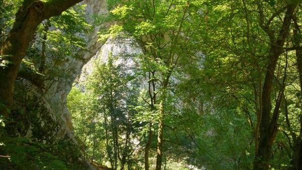 Studio Apartman Dunavski Raj