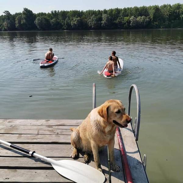 Vila Odmor na Dunavu