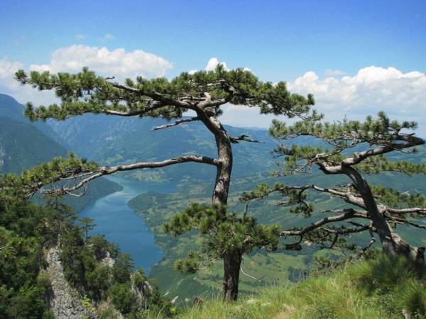 Apartment Aleksandra