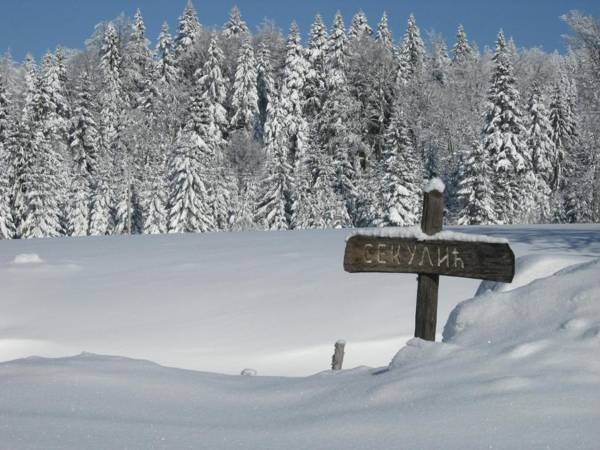 Planinska Koliba Sekulić