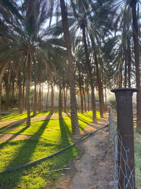 Sunset Alula Villa- العلا