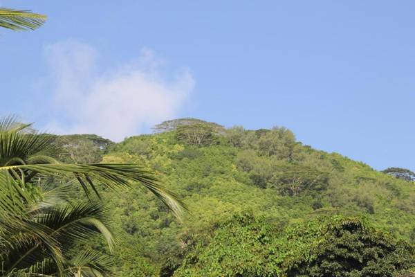 Silhoutte View Apartments