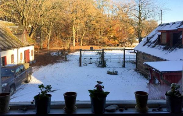 Farm Stay Happy Dogs Ranch