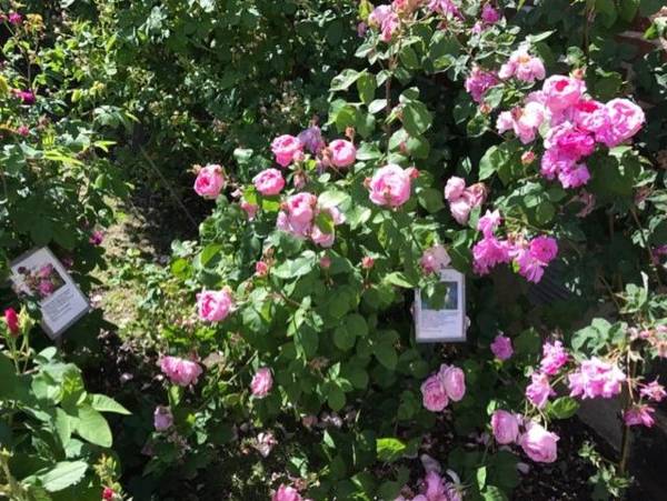 Hotell Turistgården i Simrishamn