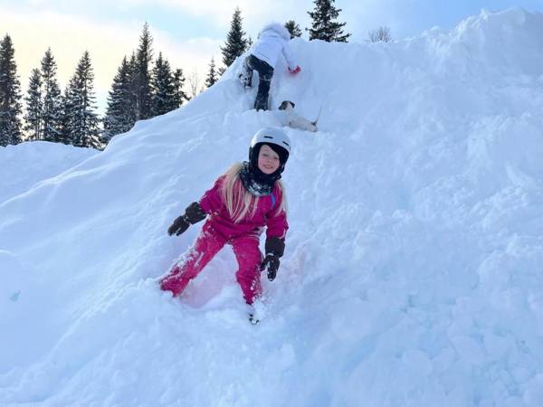 Borgafjäll snowcamp wildlife och skotercenter