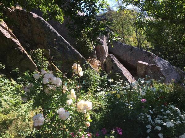 Stuga i naturskönt område på västra Tjörn